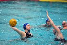 WWPolo vs CC  Wheaton College Women’s Water Polo vs Connecticut College. - Photo By: KEITH NORDSTROM : Wheaton, water polo